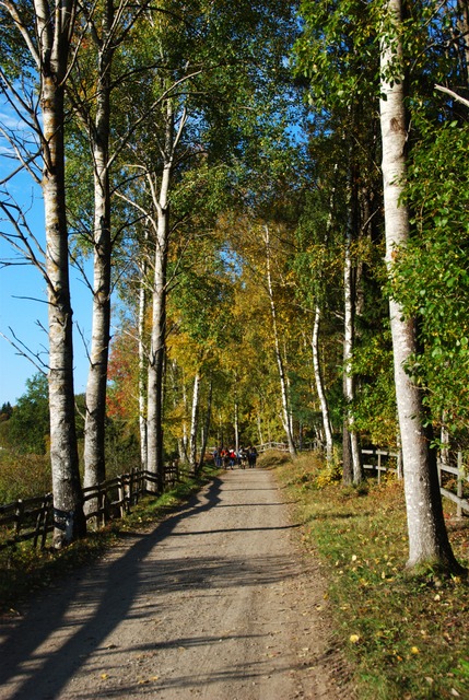 ScouternasNatt2011-031