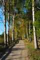 ScouternasNatt2011-031