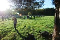ScouternasNatt2011-032