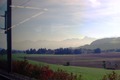 GooseNetworkMeeting2012-004