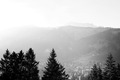 GooseNetworkMeeting2012-015