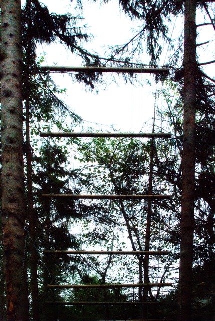 Jacobs Ladder
