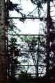 Jacobs Ladder