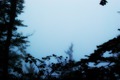 static/tracks/97/GooseNetworkMeeting2012-204-s.jpg
